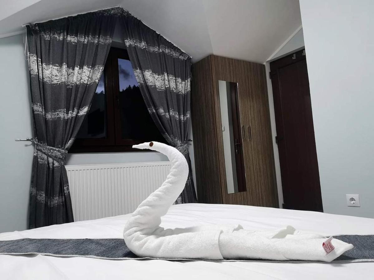 Hotel Casa Cizi Călimăneşti Zewnętrze zdjęcie