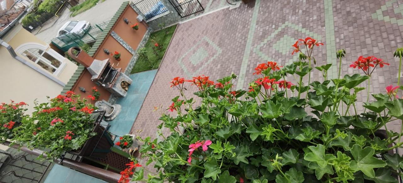 Hotel Casa Cizi Călimăneşti Zewnętrze zdjęcie