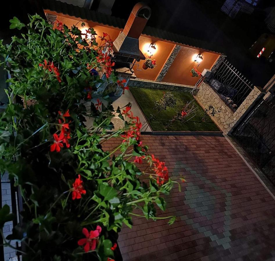 Hotel Casa Cizi Călimăneşti Zewnętrze zdjęcie