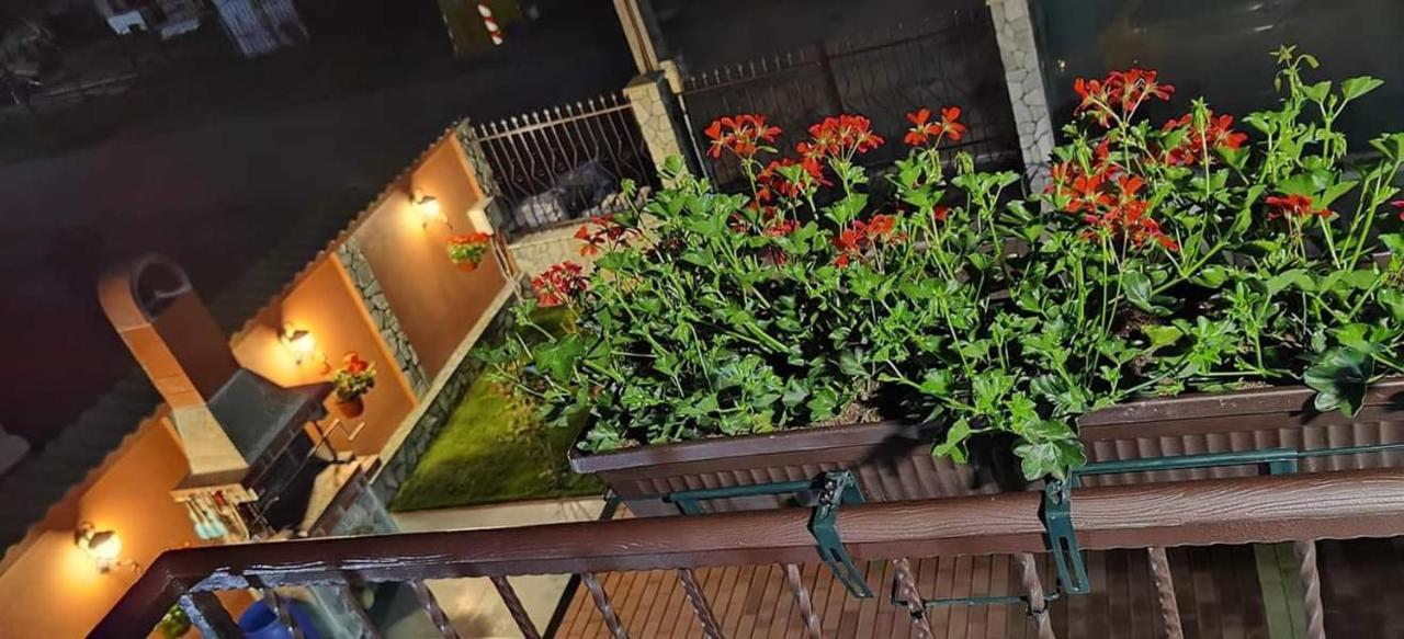 Hotel Casa Cizi Călimăneşti Zewnętrze zdjęcie
