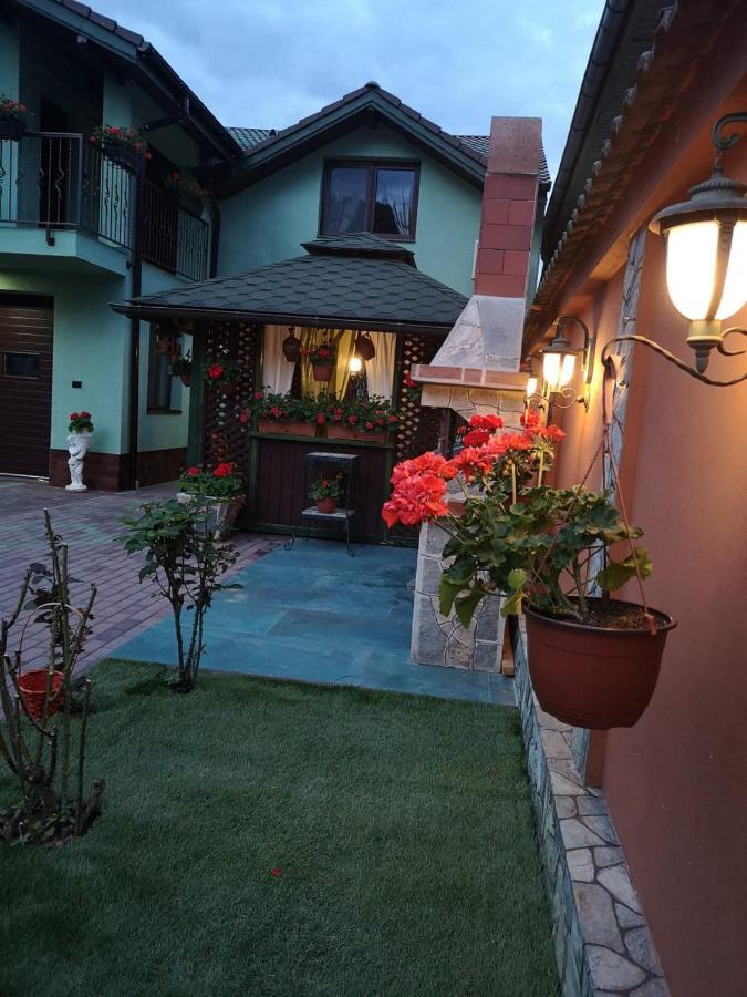Hotel Casa Cizi Călimăneşti Zewnętrze zdjęcie